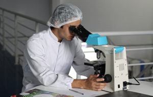 Man with white coat and hair net looking into a microscope