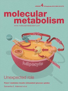 Molecular Metabolism Vol 4 No 9