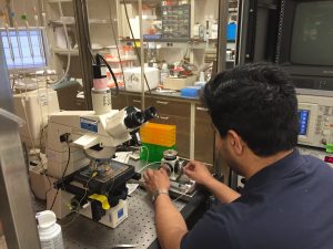 MSTP student in the lab